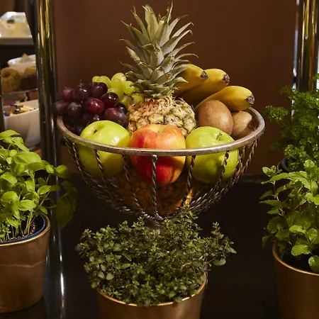 Classic Harmonie מלון 3*